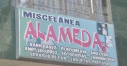 MISCELANEA ALAMEDA MISCELANEA ALAMEDA